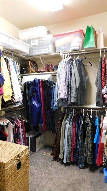 spacious closet with carpet flooring