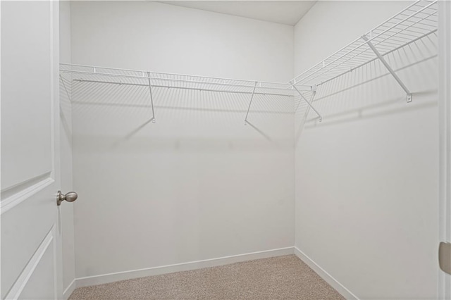 spacious closet with light carpet