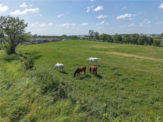 4814 NW 141st St, Platte City, MO 64079 - photo 44
