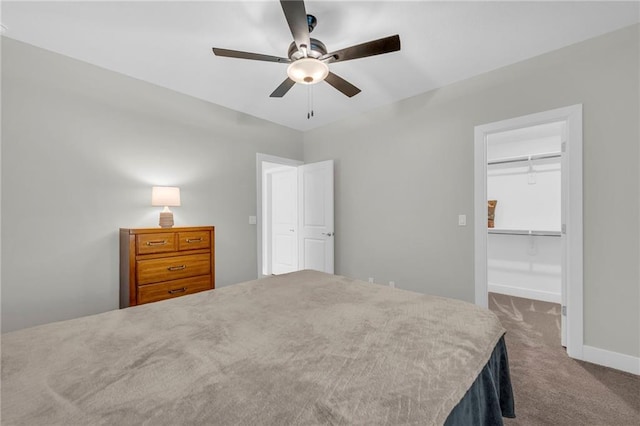 unfurnished bedroom with baseboards, ceiling fan, a closet, a walk in closet, and carpet flooring