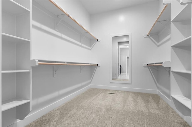 17147 S Heatherwood St, Olathe, KS 66062 - walk in closet with carpet flooring