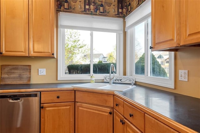 15498 Cedar Ln, Basehor, KS 66007 - kitchen featuring stainless steel dishwasher and plenty of natural light