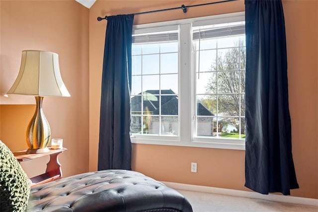 15498 Cedar Ln, Basehor, KS 66007 - bedroom featuring carpet floors and baseboards