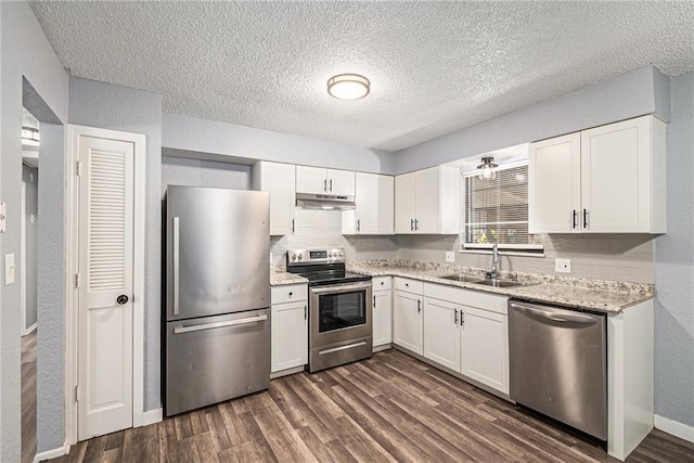 kitchen featuring a sink, dark wood finished floors, under cabinet range hood, and stainless steel appliances