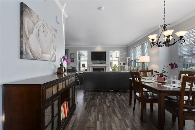 dining room with a chandelier, a fireplace, dark wood-type flooring, and crown molding