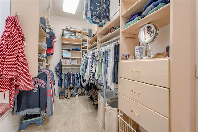 spacious closet featuring carpet flooring