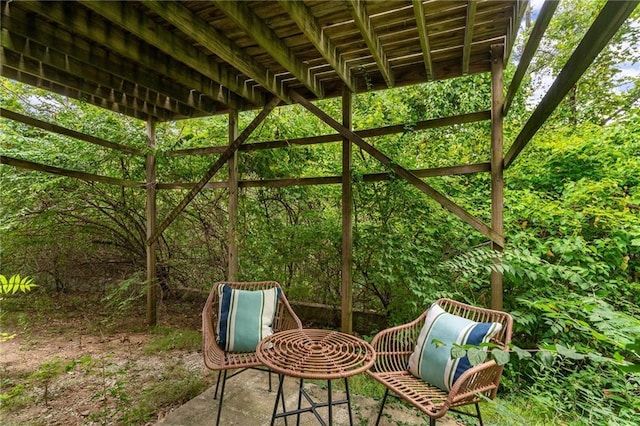 1310 Lawrence Ave, Kansas City, KS 66103 - view of patio