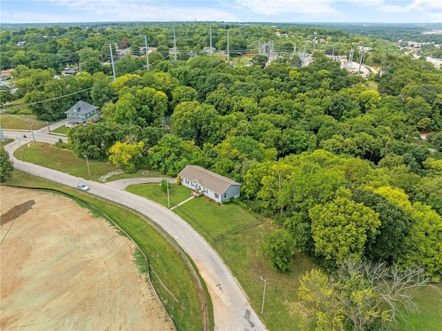 1310 Lawrence Ave, Kansas City, KS 66103 - bird's eye view with a view of trees
