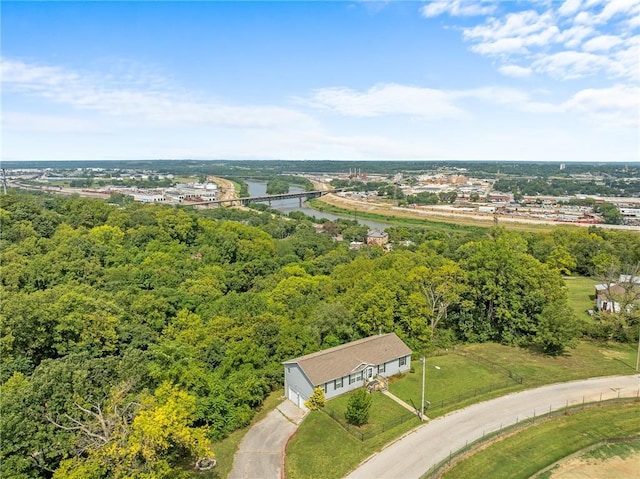 1310 Lawrence Ave, Kansas City, KS 66103 - bird's eye view