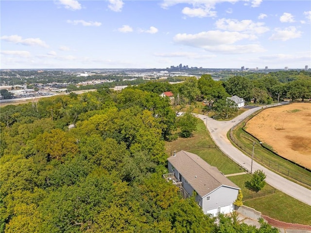 1310 Lawrence Ave, Kansas City, KS 66103 - drone / aerial view