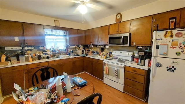 kitchen featuring white appliances, ceiling fan, brown cabinets, light countertops, and light wood-type flooring