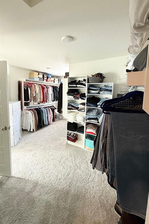 spacious closet featuring carpet