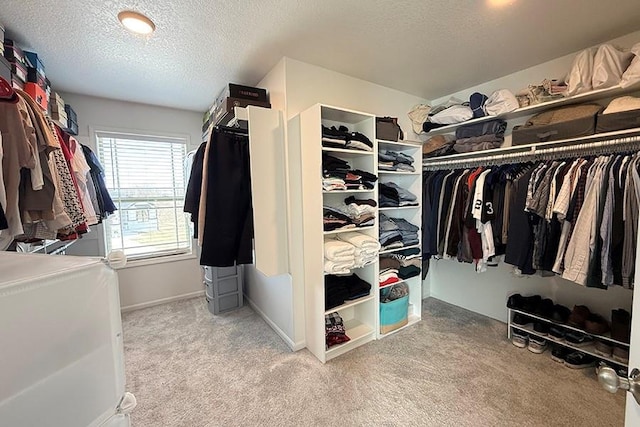 walk in closet featuring carpet