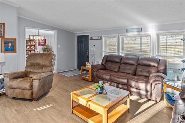 living area with a textured ceiling, an inviting chandelier, ornamental molding, and light wood finished floors