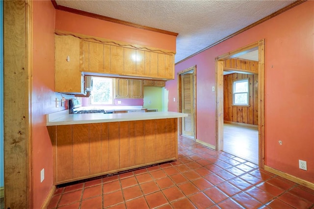 5200 NW Valley View Rd, Blue Springs, MO 64015 - kitchen with range, crown molding, a peninsula, light countertops, and a textured ceiling