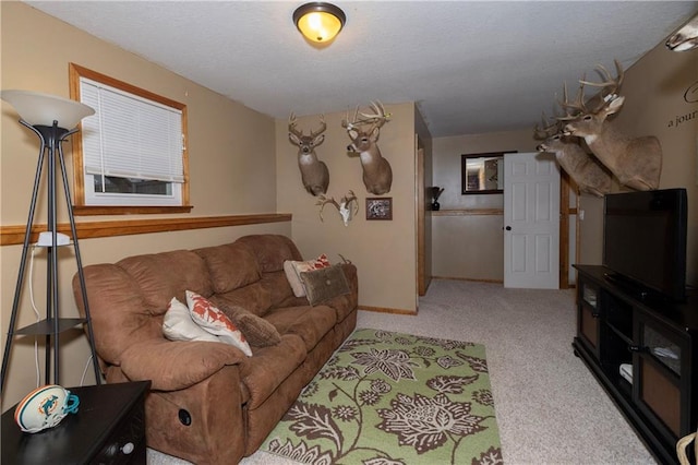 living area with a textured ceiling and carpet flooring