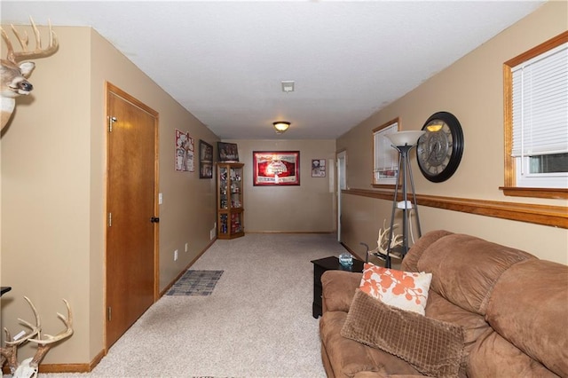 living room with carpet floors