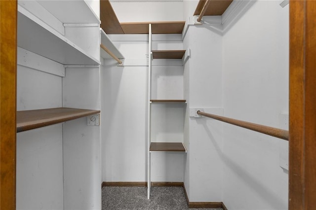 walk in closet featuring carpet floors