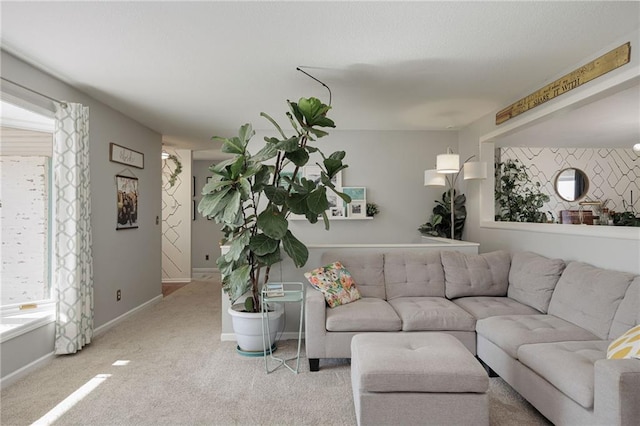 living room with baseboards and carpet floors