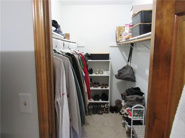 spacious closet with carpet floors