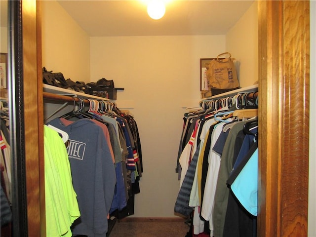 view of spacious closet