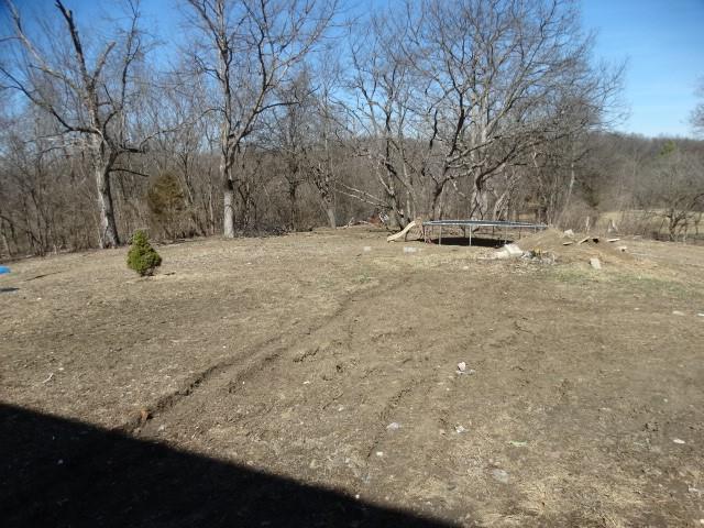 view of yard featuring a trampoline