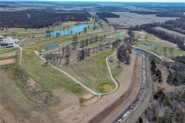 drone / aerial view with a water view and a rural view