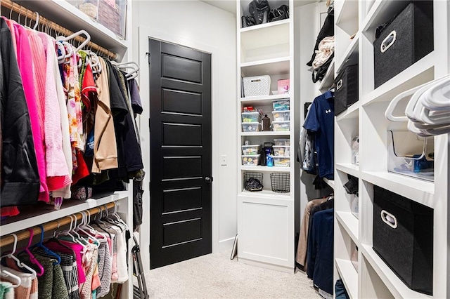 21143 W 189th Ct, Spring Hill, KS 66083 - walk in closet with carpet