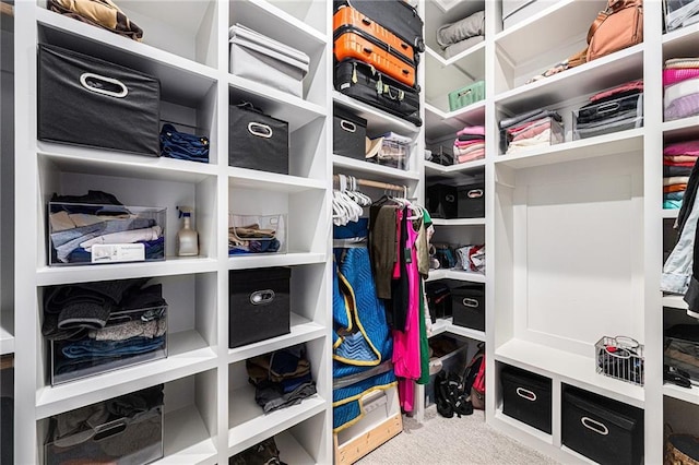 21143 W 189th Ct, Spring Hill, KS 66083 - spacious closet featuring carpet floors