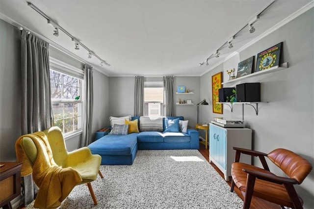 living area featuring track lighting and ornamental molding