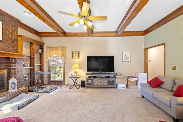 living area with carpet, beam ceiling, a fireplace, ceiling fan, and crown molding