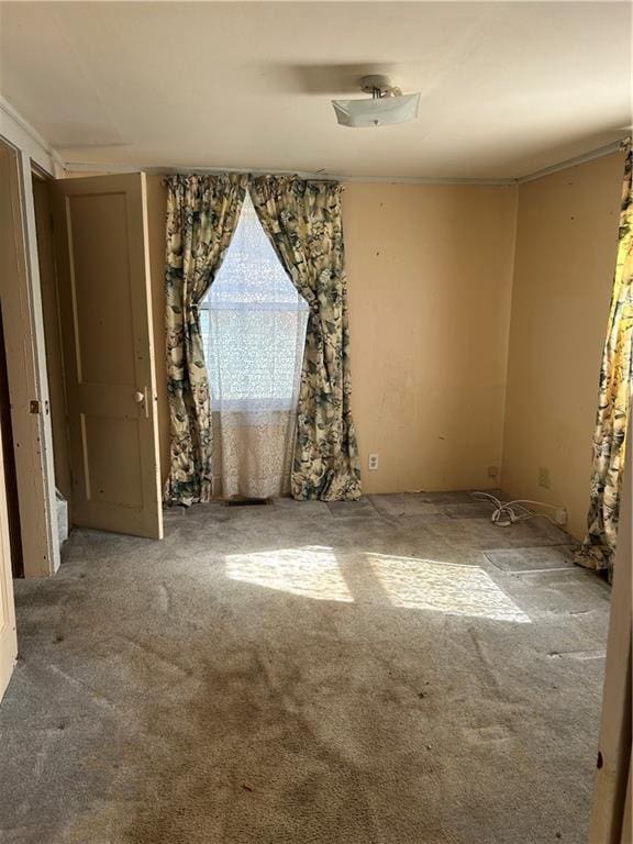 unfurnished room with carpet flooring