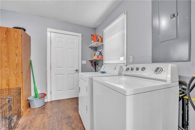 laundry area with dark wood-type flooring, electric panel, a textured ceiling, washing machine and dryer, and laundry area