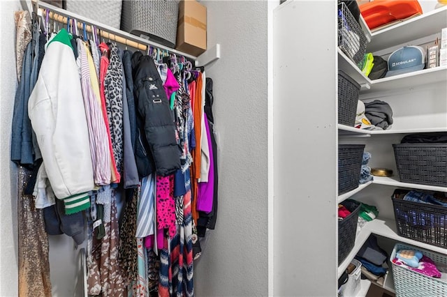 view of spacious closet