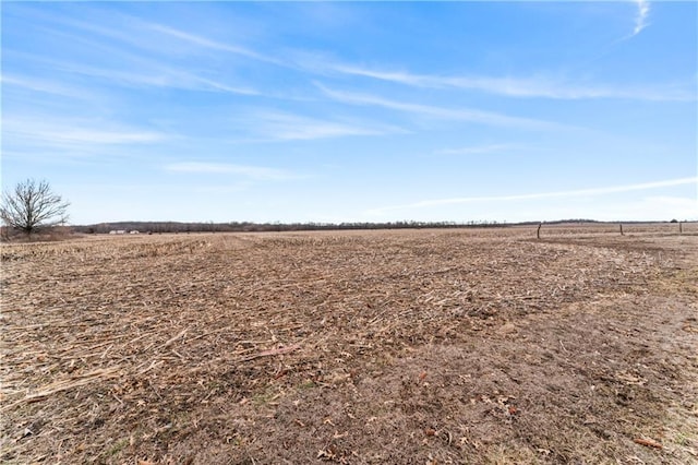 view of local wilderness featuring a rural view