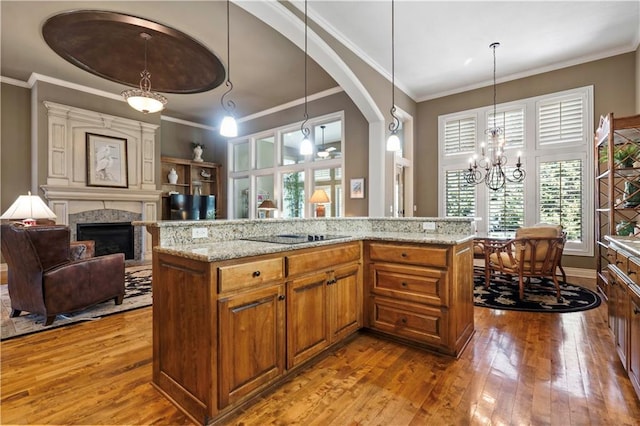 kitchen with black electric cooktop, brown cabinets, wood-type flooring, and crown molding