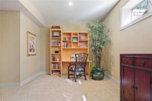 office space featuring baseboards and carpet floors