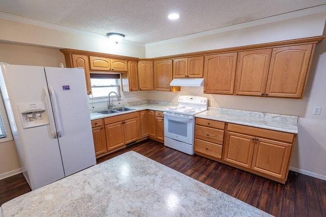 kitchen with a sink, white appliances, under cabinet range hood, and dark wood-style flooring