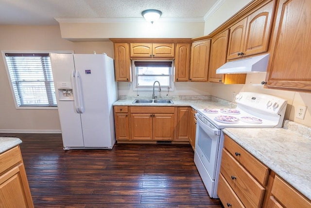 kitchen with under cabinet range hood, white appliances, light countertops, and a sink