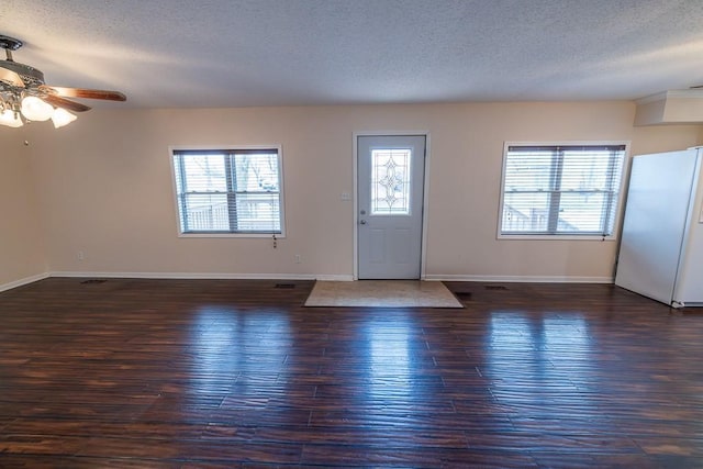 entrance foyer featuring plenty of natural light, a textured ceiling, and dark wood-style floors