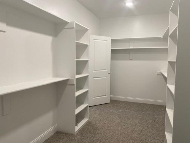 spacious closet with carpet flooring