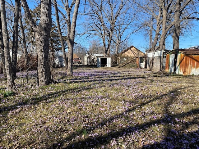 view of yard with an outbuilding and a storage shed