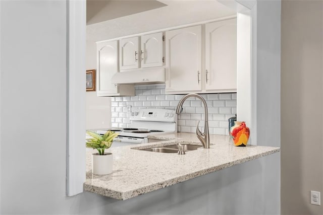 kitchen with light stone countertops, a sink, electric stove, under cabinet range hood, and tasteful backsplash