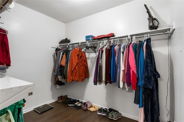 spacious closet with wood finished floors