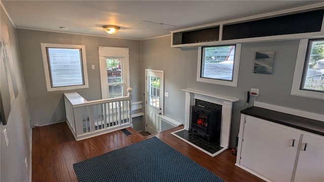 bedroom with multiple windows and dark wood-type flooring