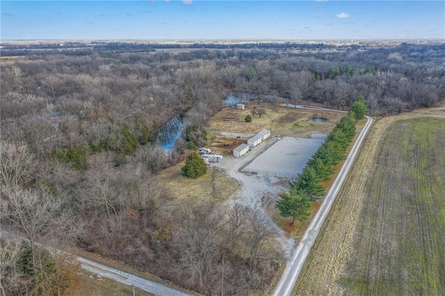 bird's eye view with a wooded view