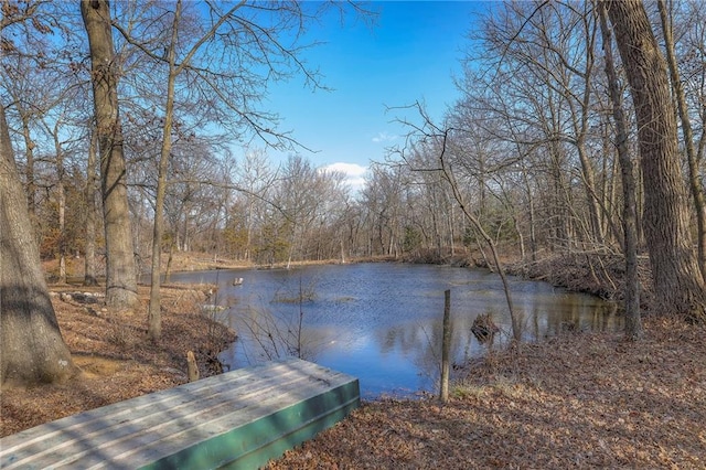 dock area with a forest view and a water view