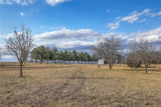 view of yard with a rural view