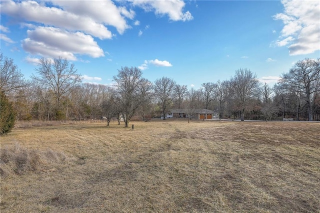 view of yard with a rural view