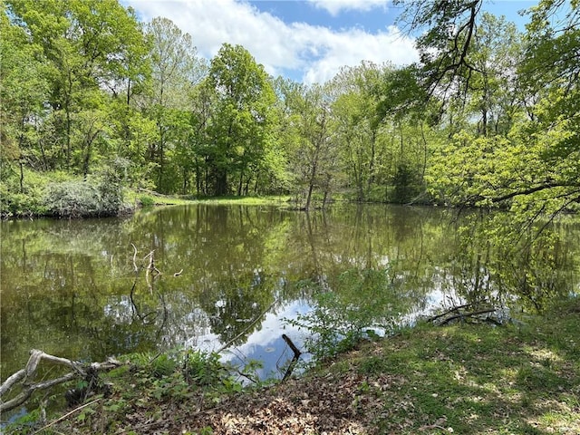 350 NW 71p Rd, Clinton, MO 64735 - property view of water featuring a forest view